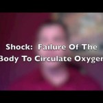 What is Shock and How Do I Treat It?