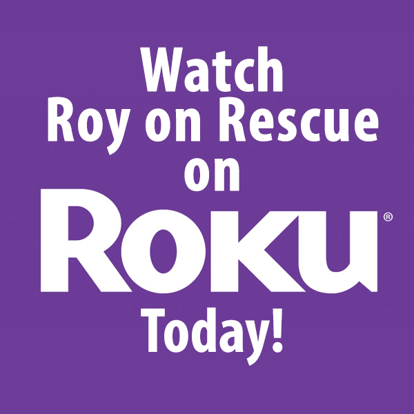 Watch Roy on Rescue on Roku